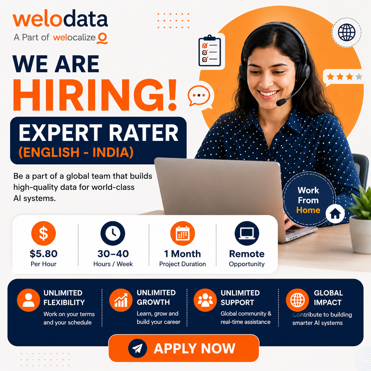 Expert Rater Project